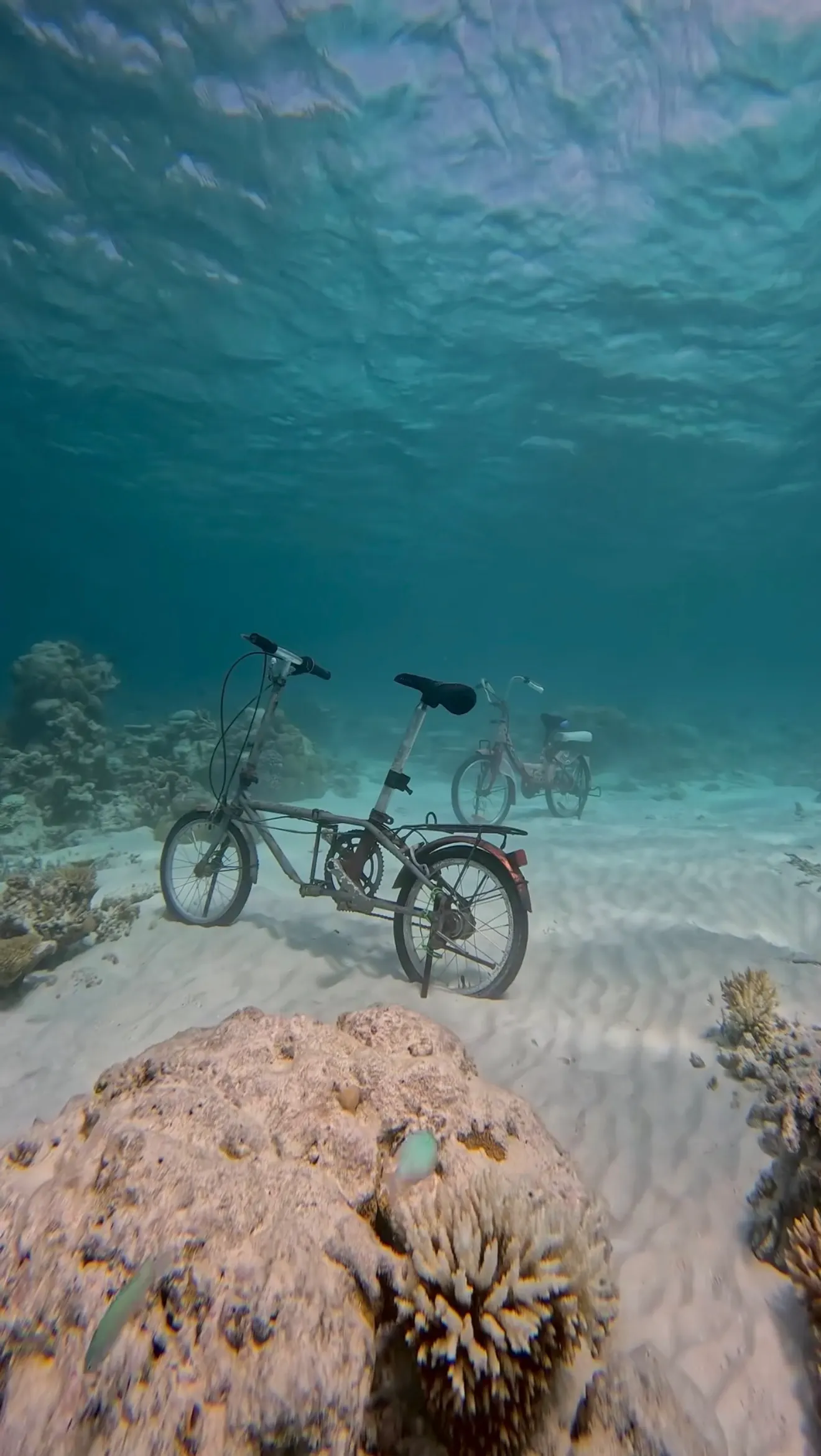 Underwater bicycles on the sandy seabed