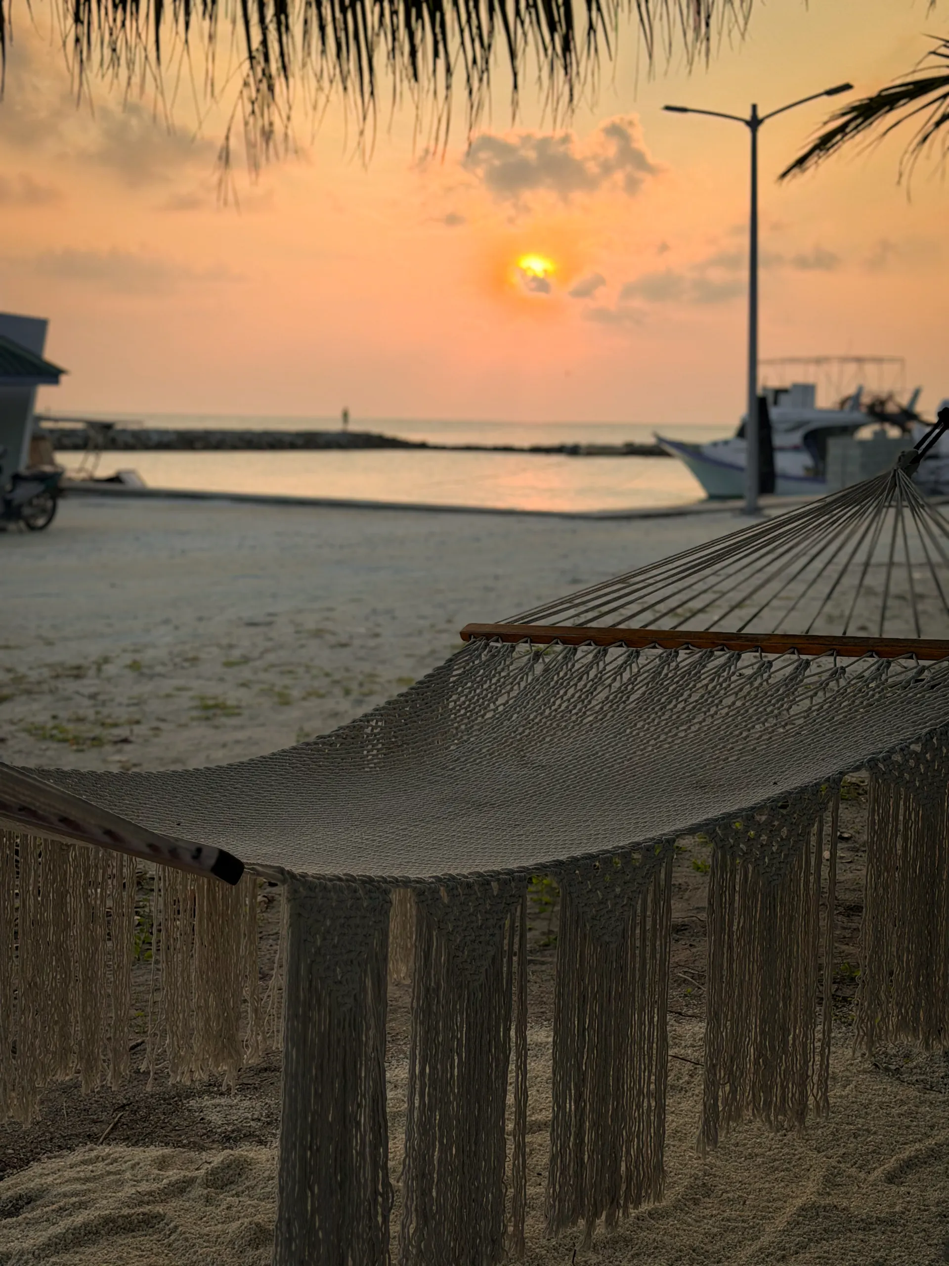 Hammock on the beach at sunset